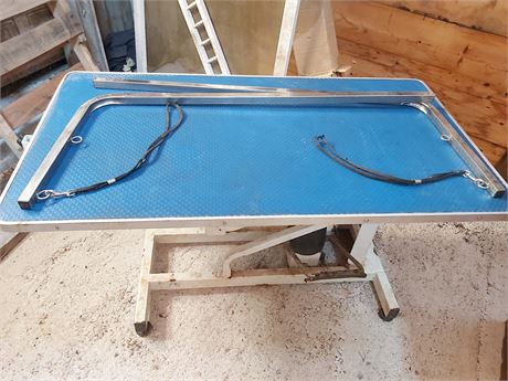 Hydraulic Pet Grooming Table with Adjustable Arm G