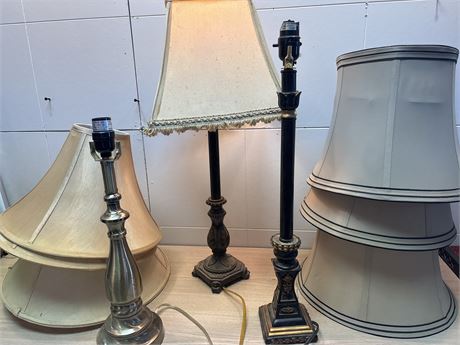 Collection of Vintage and Decorative Table Lamps with Assorted Shades 16