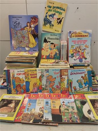 French Children's Book Collection - Disney, Berenstain Bears & More 11